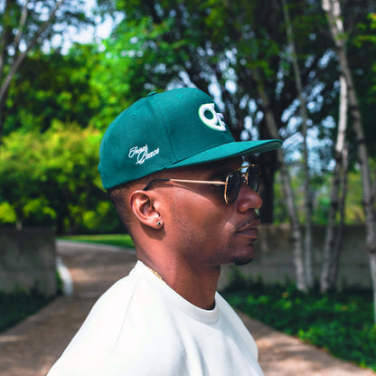 The Classic Logo Snapback